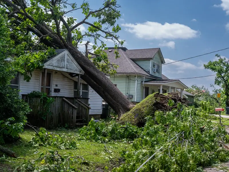 Fallen tree leaning onto a house with storm debris in the yard.